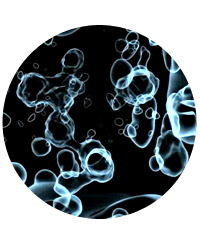 Sky-Skan's Fulldome Show Library