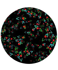 Sky-Skan's Fulldome Show Library