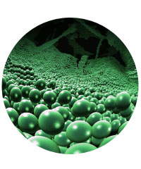 Sky-Skan's Fulldome Show Library