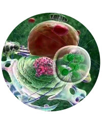 Sky-Skan's Fulldome Show Library